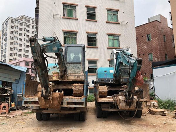 8年“钟情”，“不朽情缘绿”助力展鸿途