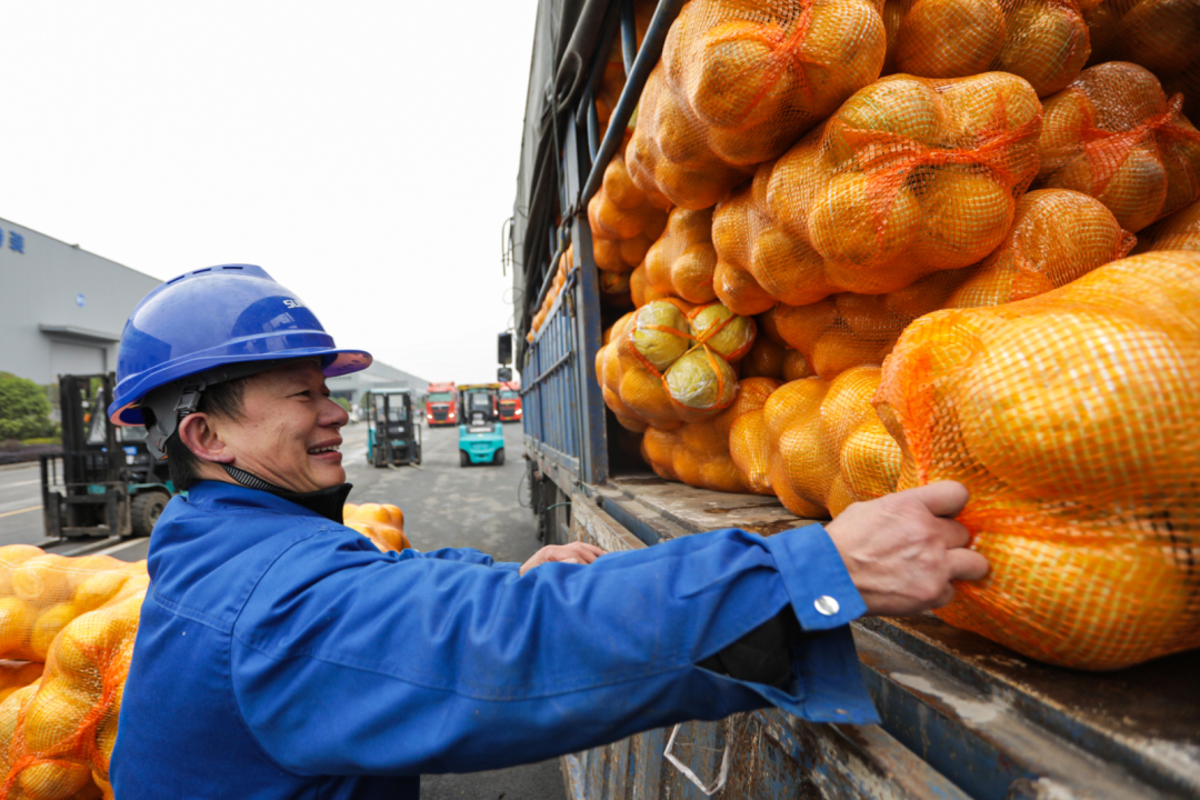 点赞！不朽情缘智能成功入选“上市公司乡村振兴优秀实践案例”